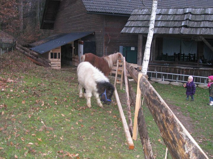 Jahanje ponijev — 2