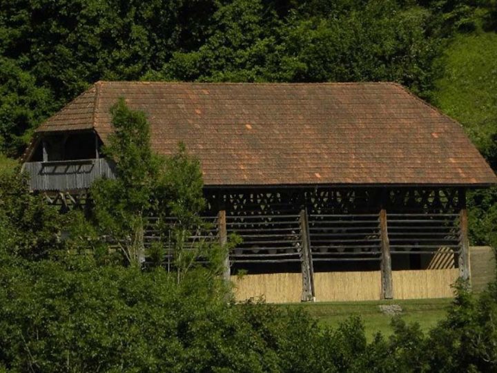Skedenj pr Kozolc Babna Gora pri Polhovem Gradcu — 5