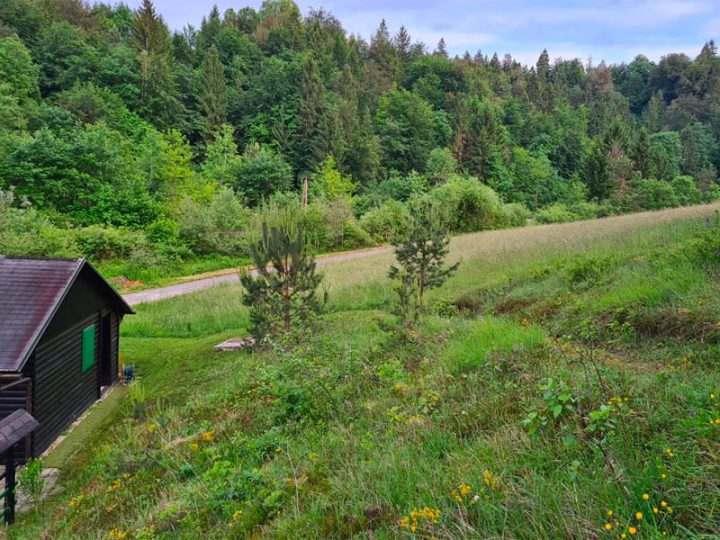 Piknik prostor Višnja Gora — 3