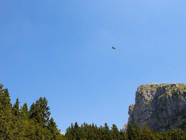 Zipline — 5